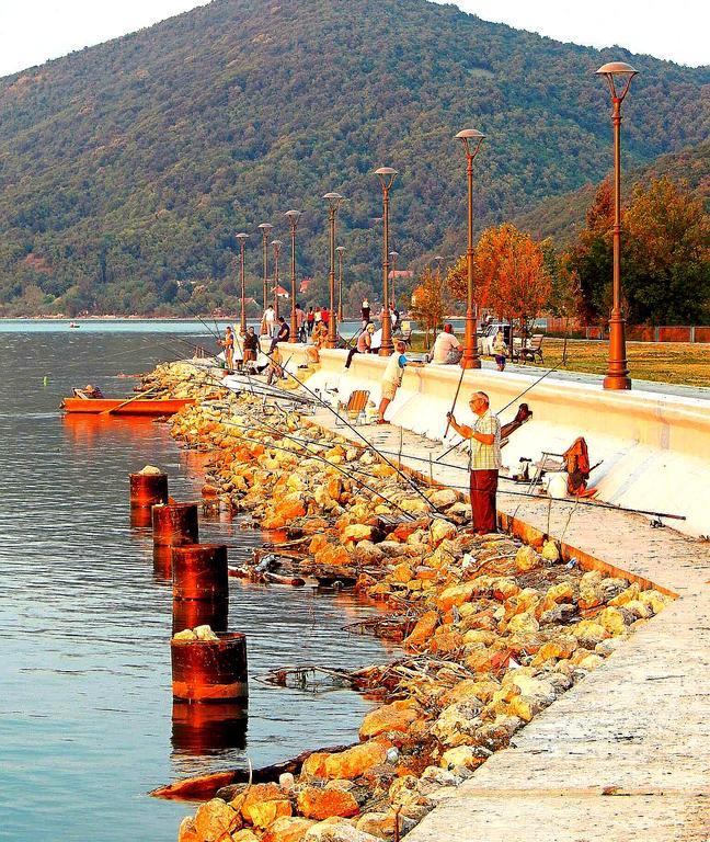 Apartments Nana Golubac Bagian luar foto